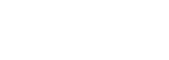 VIBRA Paes de Barros